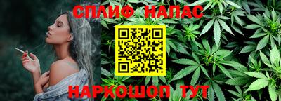 индика Вышний Волочёк