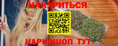 индика Вышний Волочёк