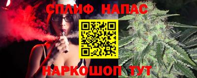 индика Вышний Волочёк