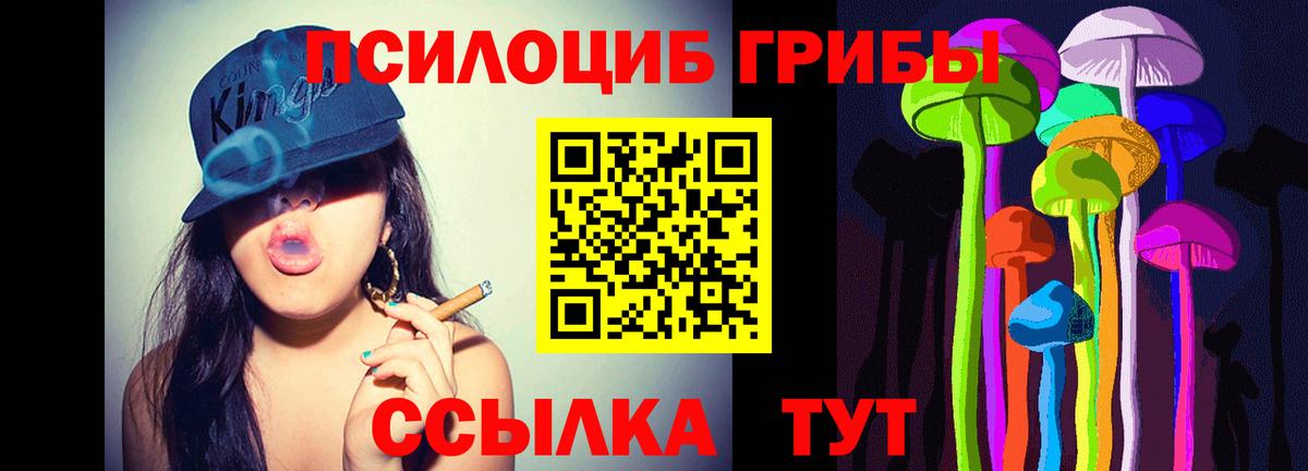 где купить наркоту  Галлюциногенные грибы мицелий  Вход с VPN  Асино 